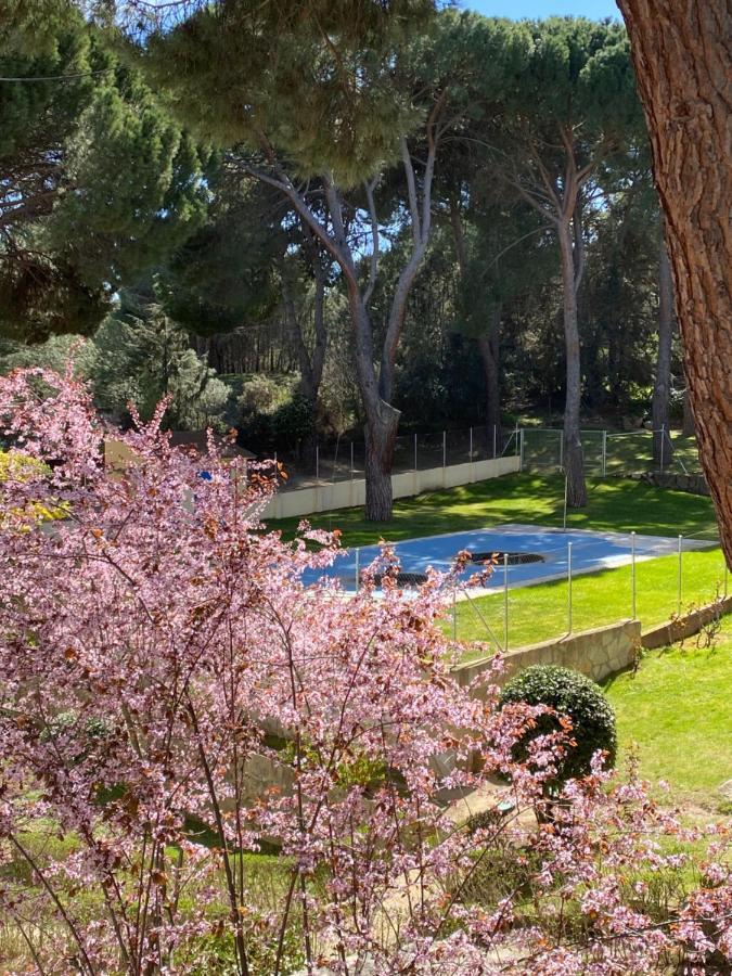 Apt Romantico Con Chimenea Con Fibra Optica Y Terraza San Martín de Valdeiglesias Extérieur photo