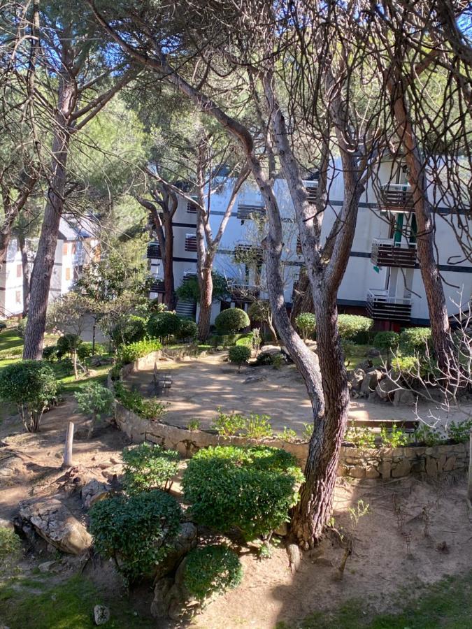 Apt Romantico Con Chimenea Con Fibra Optica Y Terraza San Martín de Valdeiglesias Extérieur photo